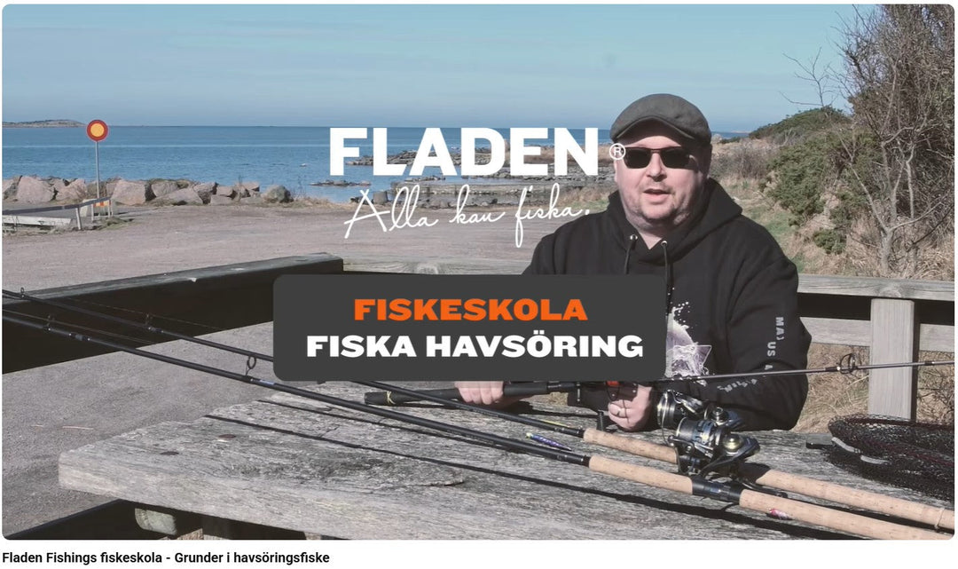 Grunder i Havsöringsfiske
