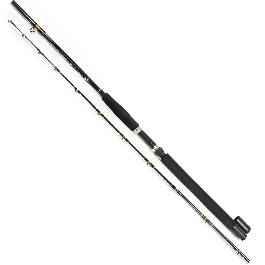 12-00210TR (1)